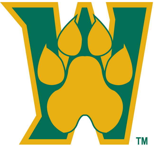 Wright State Raiders 2001-Pres Alternate Logo v4 diy DTF decal sticker